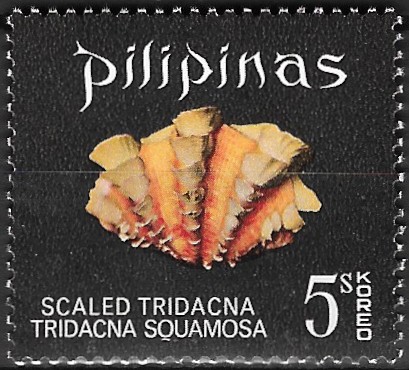Philippine Commemorative Stamp from 1970 - Seashells