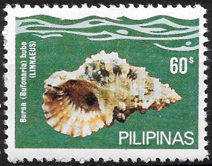 Philippine Commemorative Stamp from 1980 - Sea Shells