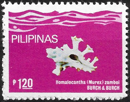 Philippine Commemorative Stamp from 1980 - Sea Shells