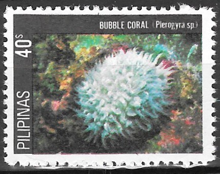 Philippine Commemorative Stamp from 1981 - Corals