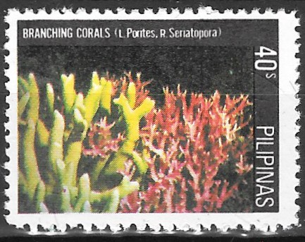 Philippine Commemorative Stamp from 1981 - Corals