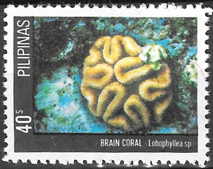 Philippine Commemorative Stamp from 1981 - Corals