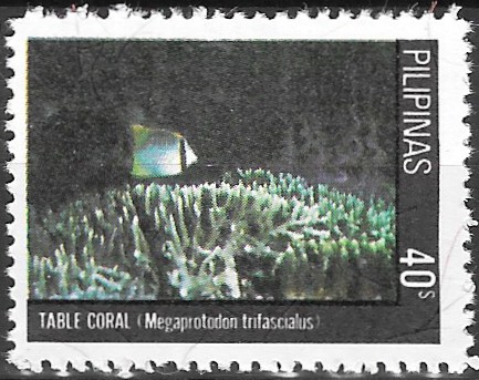 Philippine Commemorative Stamp from 1981 - Corals