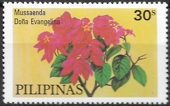 Philippine Commemorative Stamp from 1979 - Philippines Mussaendas