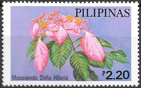 Philippine Commemorative Stamp from 1979 - Philippines Mussaendas